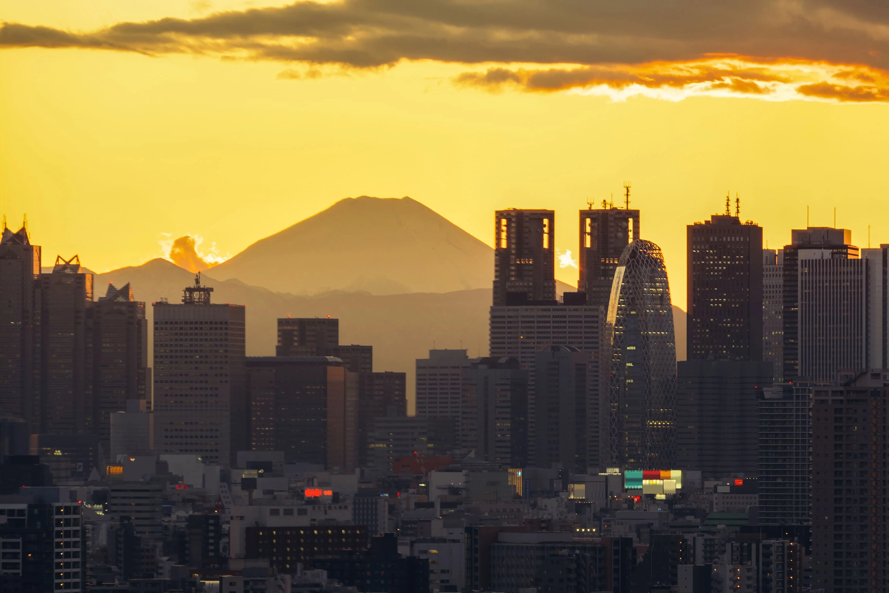 Must-Visit Luxury Attractions in Tokyo