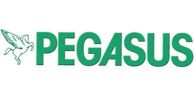 PEGASUS INCOMING