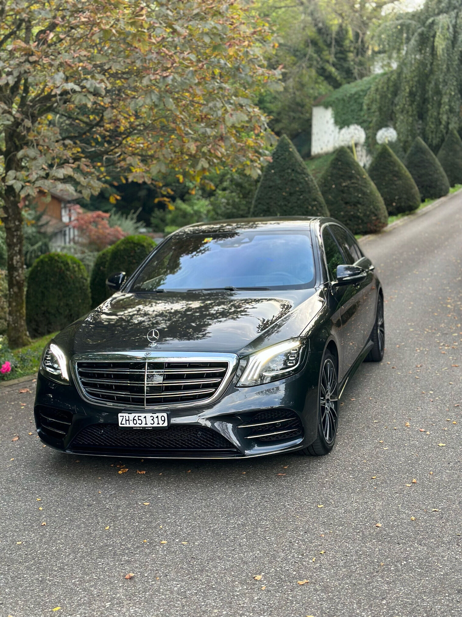 Zurich Private Chauffeur Experience – 5-Hour Mercedes S-Class Long Sightseeing Tour