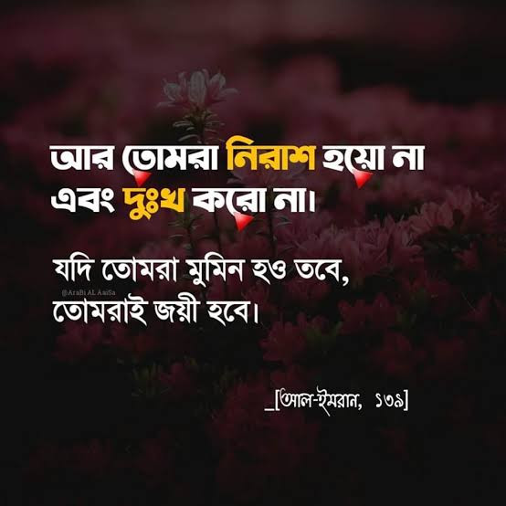 BMW 001 2024 - Photo 3