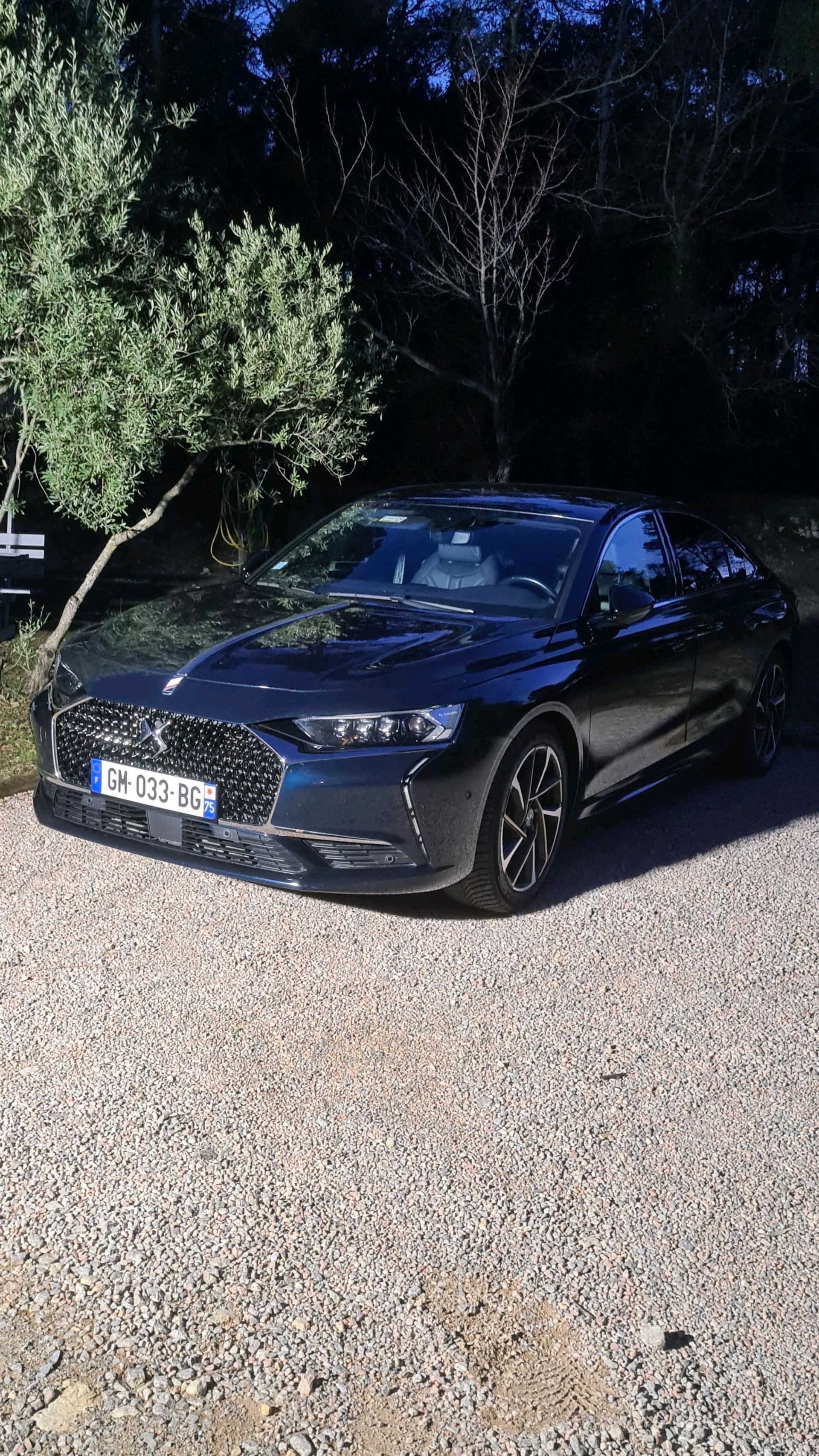 Citroën DS9 2023 - Photo 4