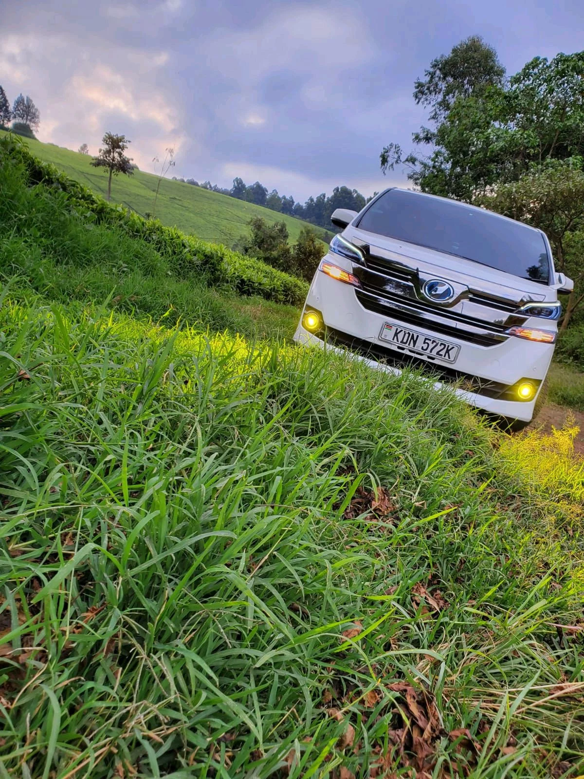 Toyota vell 2020 - Photo 2